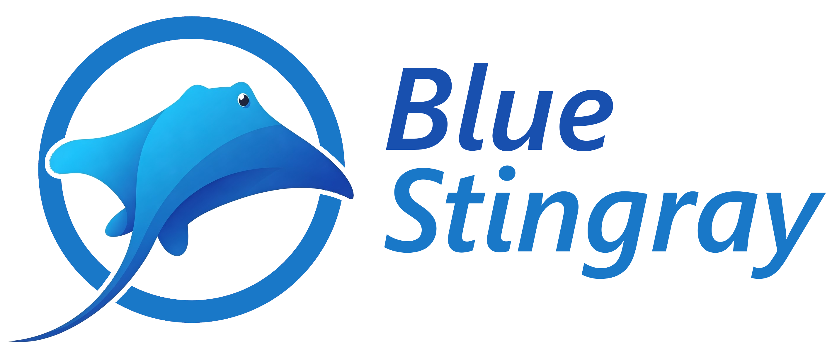 Blue Stingray Ventures Logo